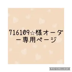 716109⭐︎様　オーダー専用ページ