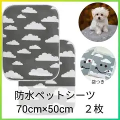 Item thumbnail for item 9254412a-8f08-4000-9429-e76950afec2b