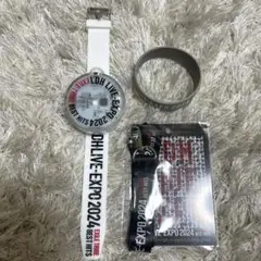 LDH LIVE EXPO 2024 プレミアムチケット限定グッズ