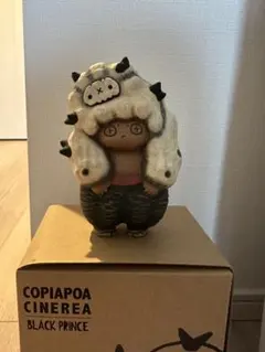 2025年最新】Copiapoa monsterの人気アイテム - メルカリ