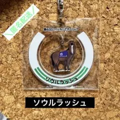 2026年最新】ソウルラッシュ 馬の人気アイテム - メルカリ