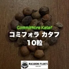 2026年最新】コミフォラ カタフの人気アイテム - メルカリ