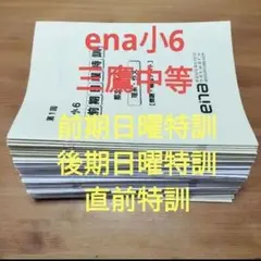 最新版 小6 日曜特訓　前期日特 後期日特 直前特訓 三鷹中 全31回 バラ相談 2026年最新】日曜特訓 ena 小6の人気アイテム - メルカリ