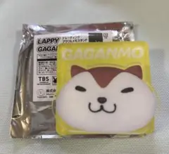 TBSラヴィット　アクリル　メモスタンド