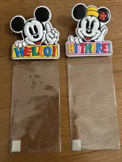 ディズニーランド　チケットホルダー　ミッキー&ミニー