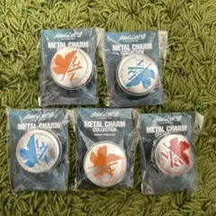 【新品未開封】エヴァンゲリオン3.0 メタルチャーム　5個セット