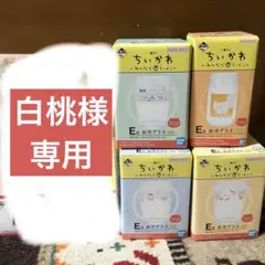 専用‼️お冷グラス4点セット