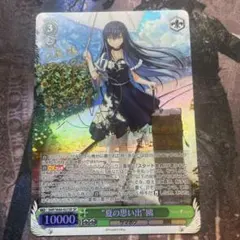 ヴァイスシュヴァルツ サマポケ 海賊船と少女 鴎 SR 3枚 - メルカリ