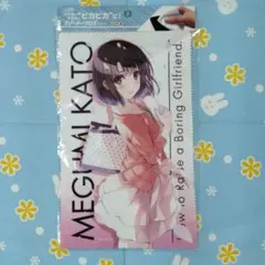 冴えない彼女の育てかた 冴えカノ クリーナークロス 加藤恵 深崎暮人 眼鏡 拭き