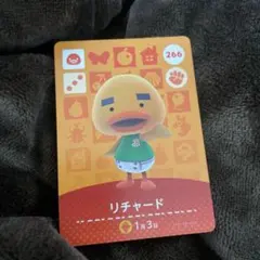 ぐ*】様 amiibo リチャード あつ森 どうぶつの森 匿名配送