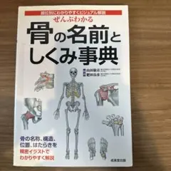 Item thumbnail for item 8bb8e276-4ed1-4f6e-bec6-076cb89cadb9