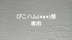 ぴこハム(◕ᴥ◕)様専用
