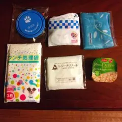 Item thumbnail for item 5a8da923-dbf1-45e9-b445-1fc95272226a