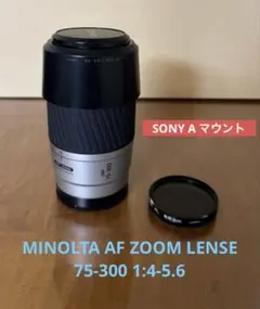 Item thumbnail for item 377352c2-e197-4707-a6f3-429303805052