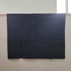 Item thumbnail for item a71ede0c-ece5-44c0-974c-3db2319ace76