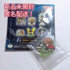 セガラッキーくじ 名探偵コナン I賞 背景付アクリルスタンド 灰原哀