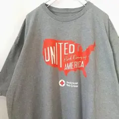 アメリカ 企業ロゴ プリント ビッグサイズ Tシャツ グレー 2XL位 海外古着