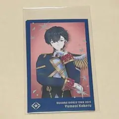 にじさんじ WORLD TOUR 2025 チェキ 夢追翔