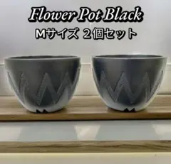 小粋なプラスチック植木鉢 2個セット cm グラキリス XLサイズ - メルカリ