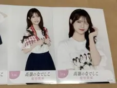 2026年最新】高嶺 tシャツの人気アイテム - メルカリ