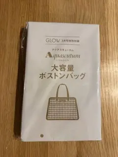 グロー GLOW 3月号　付録