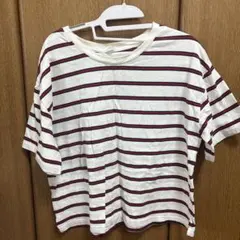 COLDLA ストライプ Tシャツ Lサイズ