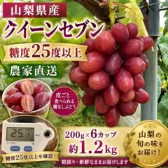 ⑳【訳あり予約】長野県産クイーンセブン約2kg【メルカリ便】 - メルカリ