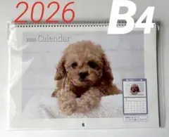 Item thumbnail for item f04a5d9d-461f-47cf-be65-abb2718f6952