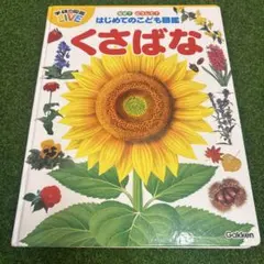 ⭐️ 상태좋음 ⭐️学研の図鑑LIVE はじめてのこども図鑑 くさばな