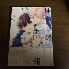 体感予報　鯛野ニッケ