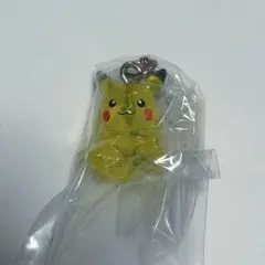 ポケモン めじるしアクセサリー2 ピカチュウ