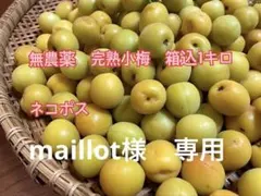 maillot様専用　ネコポス