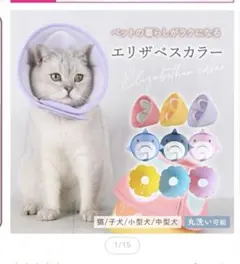 Item thumbnail for item 767808a9-289d-4025-903b-ede45a708a9a