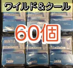【60個】 ミンティア　ワイルド&クール　WILD&COOL シュガーレスのサムネイル