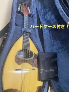 2025年最新】マンドリンの人気アイテム - メルカリ