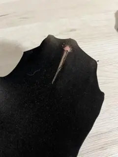 Item thumbnail for item 7154bb8b-f6ef-4118-a3d5-c945196a143e