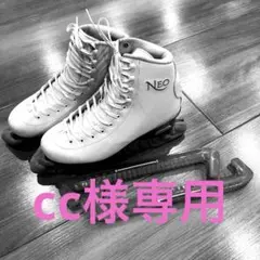 Item thumbnail for item 85b0a7b0-f11d-4b8b-b0cf-56de942e41ab