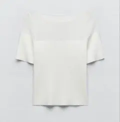ZARA シースルー　Tシャツ