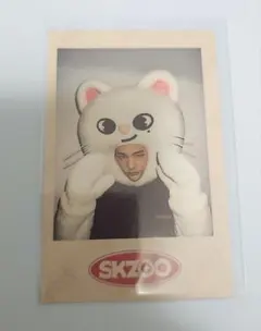 Stray Kids ヒョンジン skzoo ポラロイド トレカ