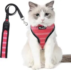 Item thumbnail for item e8862bec-800d-4ff5-8c42-848a0bb223d4