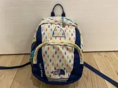 リュック　Half Dome The North Face