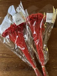 RIS@ 即日発送様 リクエスト 2点 まとめ商品