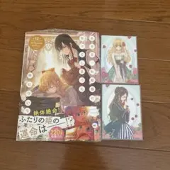 ある日、お姫様になってしまった件について 12 巻 特典付き