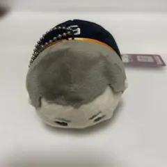 ハイキュー!! もちもちマスコット 田中龍之介