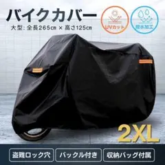 Item thumbnail for item ee756d00-bd1f-48cb-890d-5cf54ef4b3eb