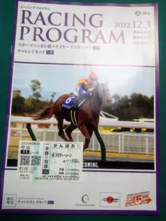 2026年最新】馬券 応援の人気アイテム - メルカリ