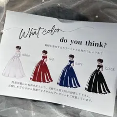 【現品商品】ドレス色当てクイズ　ドレス当てクイズ　ウェルカムスペース