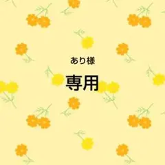 専用出品　あり様おまとめ品