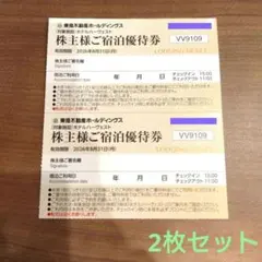東急不動産 株主宿泊優待券 東急ハーヴェスト 2枚セット