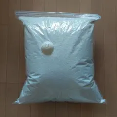 値下げ不可 中古 ヨギボー 純正 補充ビーズ 1,284グラム 2025年最新】ヨギボー 補充 ビーズの人気アイテム - メルカリ